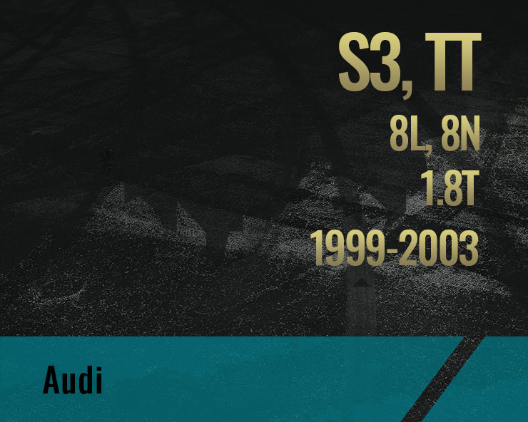 S3 8L 99-03, TT 8N 99-02