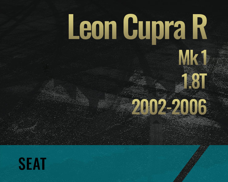 Leon Mk 1 02-06